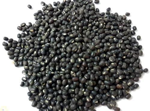 WHOLE BLACK URAD